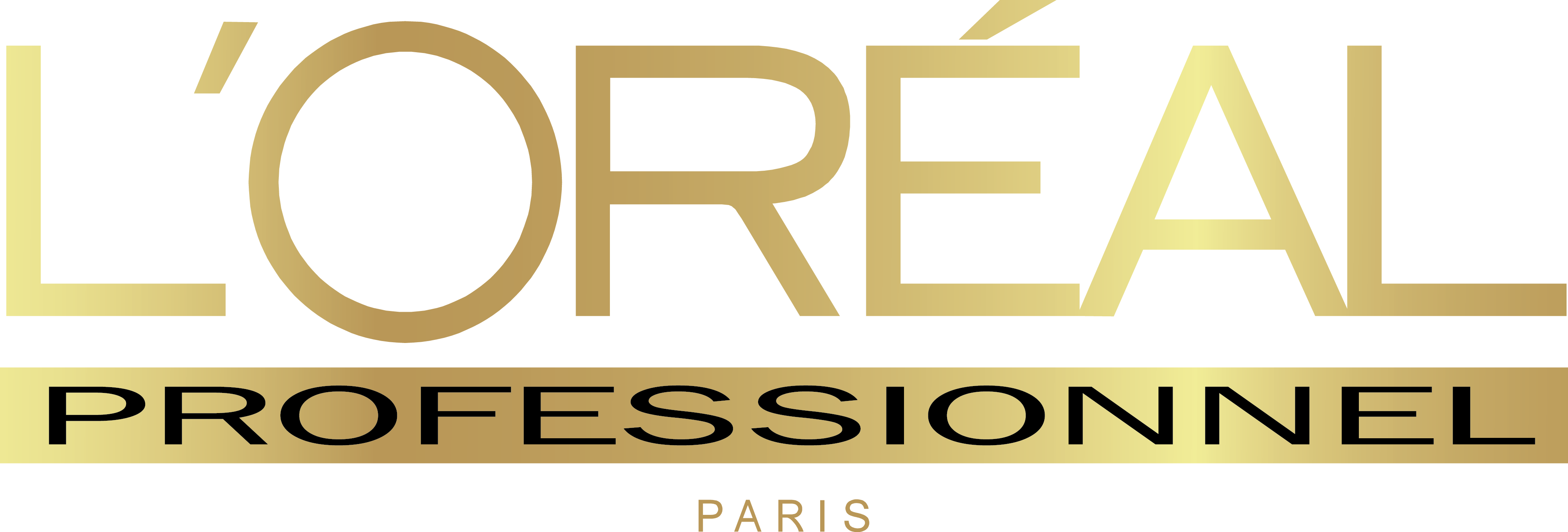 Corporate Client Logo 9